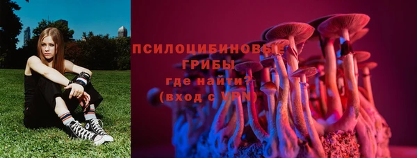 крисы Майский