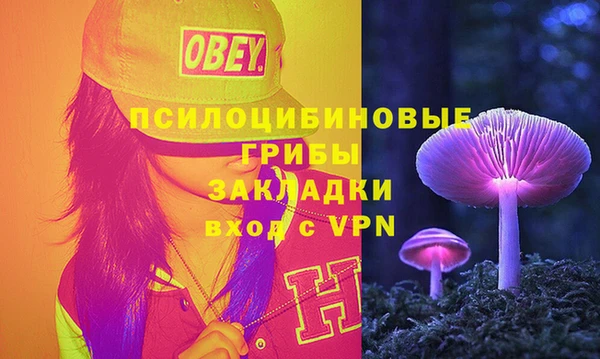 крисы Майский