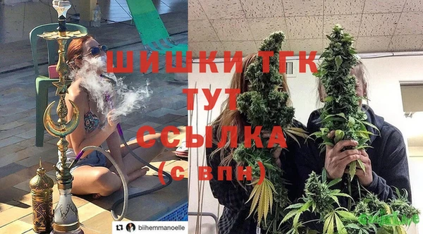 крисы Майский