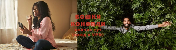 крисы Майский