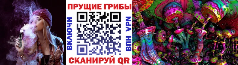 Купить закладки  Бавлы  Псилоцибиновые грибы прущие грибы 